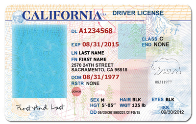 Drivers license psd template torrent